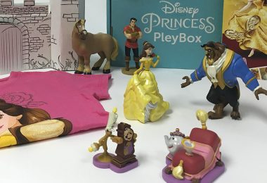Disney Princess Pleybox