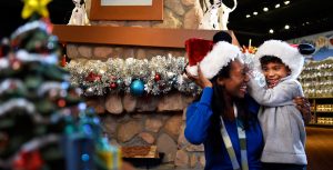 Disney’s Days of Christmas store