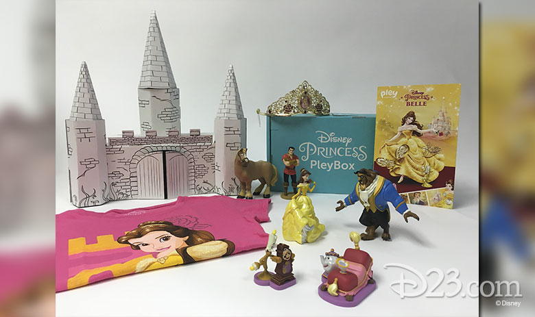 Disney Princess Pleybox