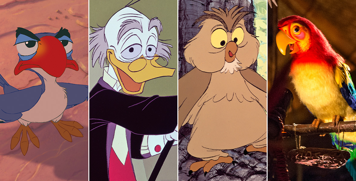 Celebrate National Bird Day with our Favorite Feathered Friends - D23