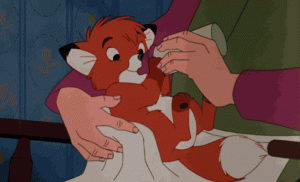 Tod