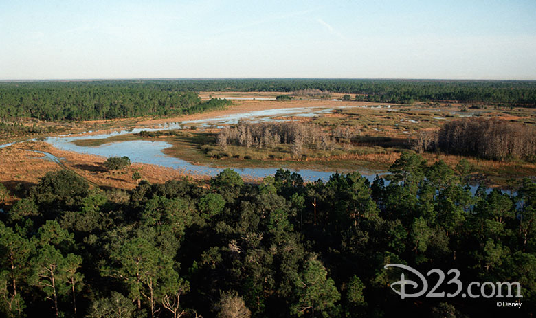 Disney Wilderness Preserve