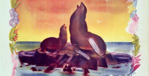 Seal Island
