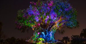 Tree of Life