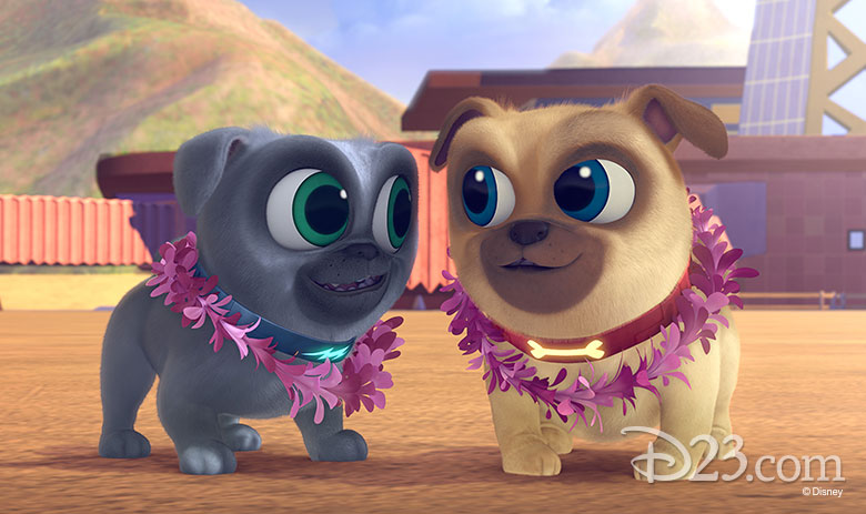 What Type of Dogs are Puppy Dog Pals: Breed Insights