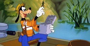Goofy
