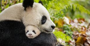 Born in China