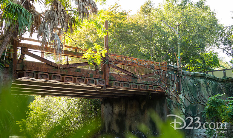 Bridge to Pandora - The World of AVATAR