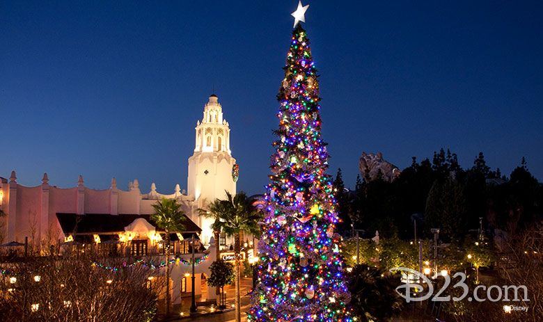 Disney California Adventure holiday