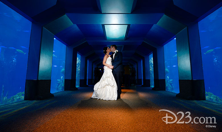 Disney's Fairy Tale Weddings