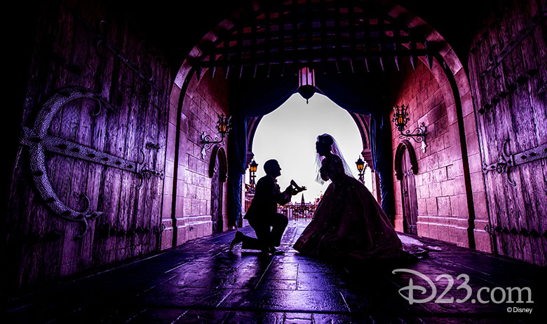 Fairy Tale Weddings