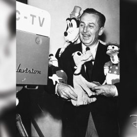 walt disney television