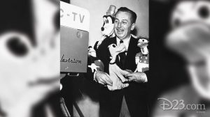 walt disney television