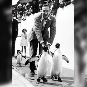 walt disney penguins
