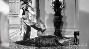 the happiest millionaire