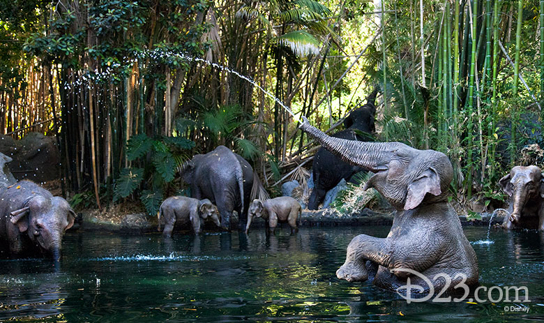 Jungle Cruise elephants