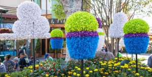 Pixar Fest Topiaries