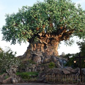 Disney's Animal Kingdom