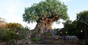 Disney's Animal Kingdom