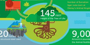 Disney's Animal Kingdom infographic