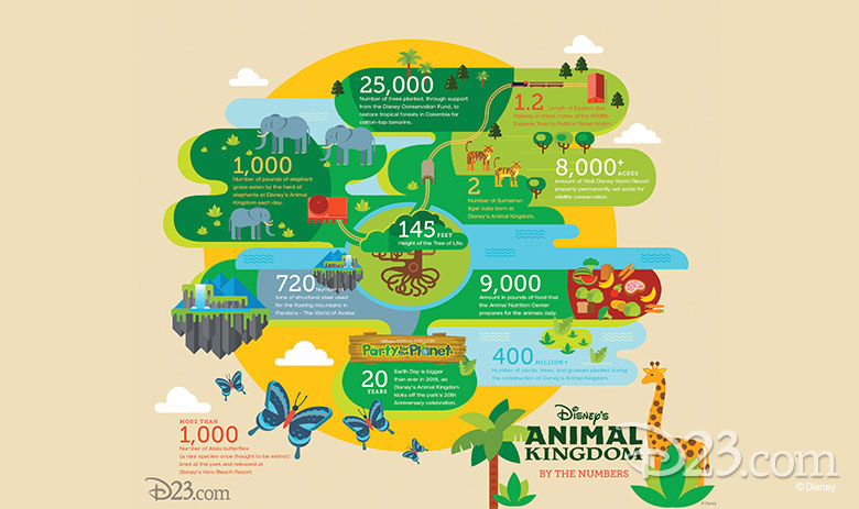 Disney's Animal Kingdom infographic