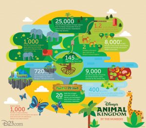 Disney's Animal Kingdom infographic