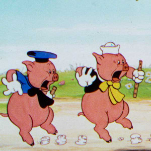 three little pigs