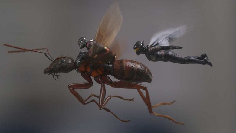 ant-man and the wasp