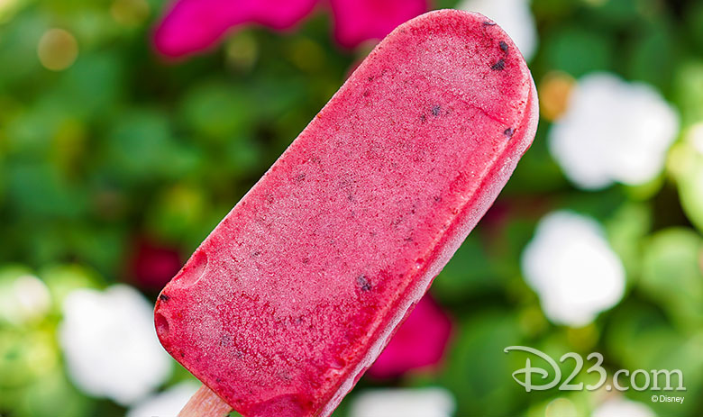 Raspberry Sorbet - non-dairy treats at Disney Parks