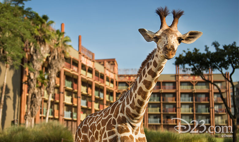 Disney's Animal Kingdom Lodge