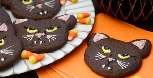 Binx the cat cookies recipe