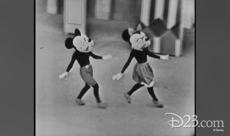 Lularoe TCTWO TC2 Disney Mickey and Minnie Mouse Palestine
