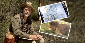 ABD Safari
