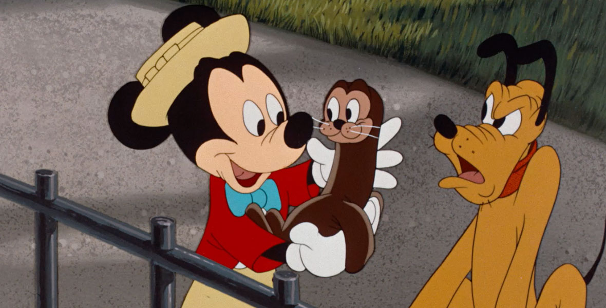 Watch the Full Short of Mickey and the Seal to Celebrate 70 Years - D23