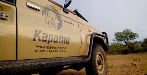 ABD Safari