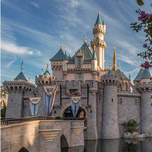 disney save