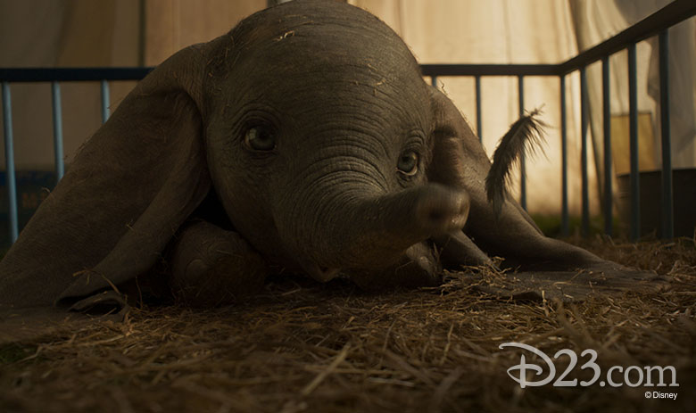 Dumbo