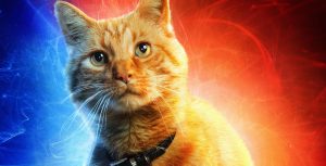 Captain Marvel Goose