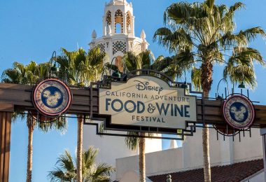 DCA Food and Wine Festival 2019