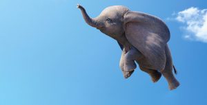 Dumbo