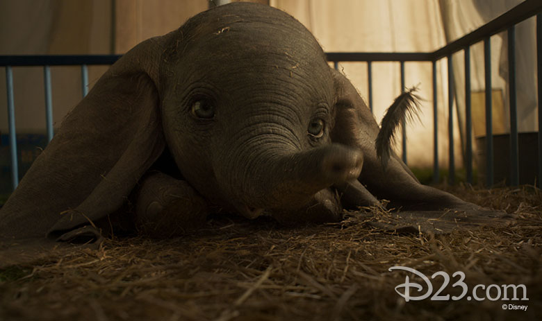 Dumbo