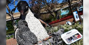 Disney Earth Month