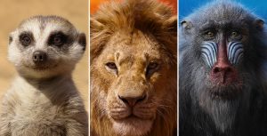 The Lion King