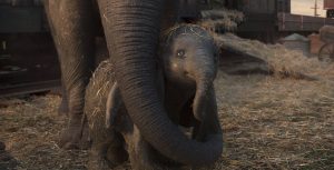 Dumbo