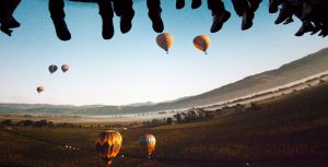 Soarin' Over California