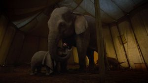 Dumbo