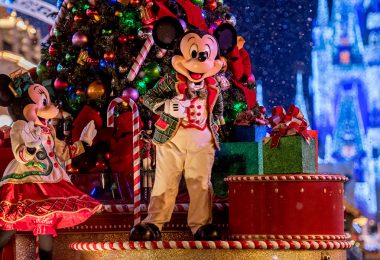 Walt Disney World Resort 2019 Holiday Season