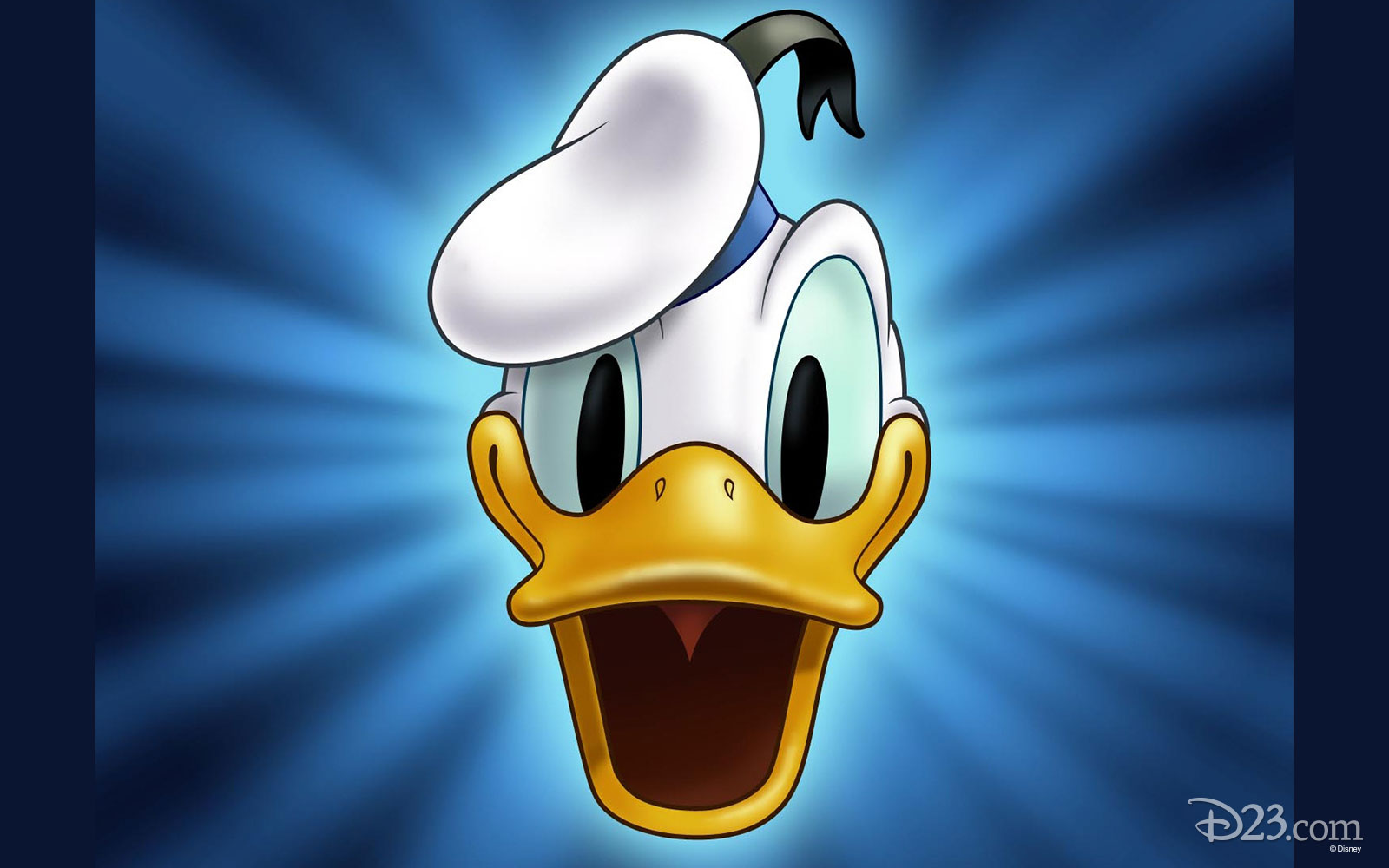Prove You're a Wise Little Hen with this Donald Duck Trivia Quiz - D23