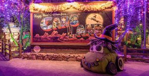 Cars Land Iris