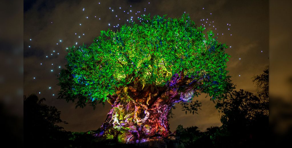 Tree Of Life Awakenings - D23